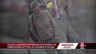 Search on for assailant after unprovoked Alewife attack [upl. by Honor]