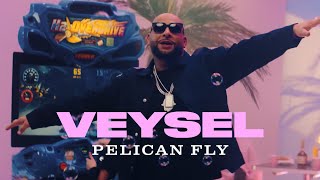 VEYSEL  PELICAN FLY Official Video [upl. by Hervey44]