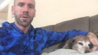 How to Stop A Reverse Sneeze in Your Dog [upl. by Craddock]