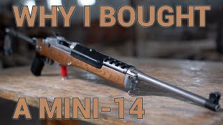 Why I Bought a Ruger Mini14 Ranch Rifle [upl. by Emmons]