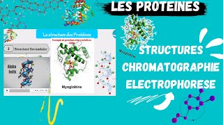 📣 Proteins Structures Techniques de séparation Chromatography Electroporesis اقوى شرح للبروتينات [upl. by Adelbert600]