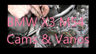 BMW X3 30L Cam Timing and Vanos [upl. by Ynoble]