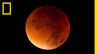 Lunar Eclipse 101  National Geographic [upl. by Relyt]