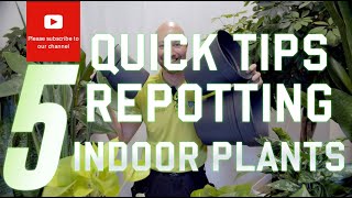 5 quick tips Repotting indoor plants [upl. by Katha946]