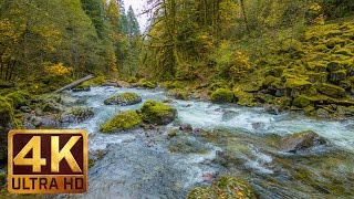 Beautiful Nature Video in 4K Ultra HD  Autumn River Sounds  5 Hours Long [upl. by Ennovaj]