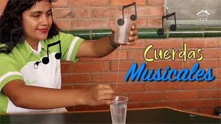 Cuerdas musicales  Experimentos de ciencia para niños [upl. by Ydwor]