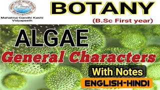 General Characteristics of AlgaeAlgae General FeaturesBSc 1st year [upl. by Hnib859]