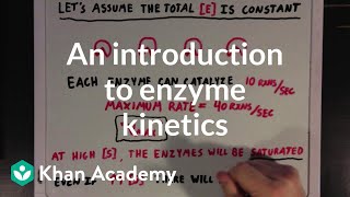 An introduction to enzyme kinetics  Chemical Processes  MCAT  Khan Academy [upl. by Jase]