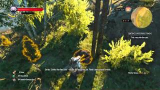 The Witcher 3 Wild Hunt Where is the CROWS eye part 1 [upl. by Yelyah]