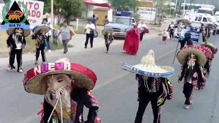 DÍA DEL TECUÁN ACATLÁN DE OSORIO PUEBLA 2018 [upl. by Warton]