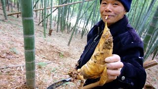 CHINESE STREET FOOD  BAMBOO HUNTING  Village Food tour in China  EXOTIC Street Food in China [upl. by Dlarrej787]