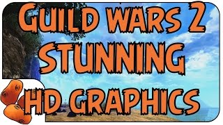 ReShade  AWESOME Guild Wars 2 Graphics Guide [upl. by Ivatts233]