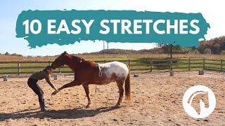 HOW TO STRETCH A HORSE 10 Easy Horse Stretches [upl. by Lemhaj254]