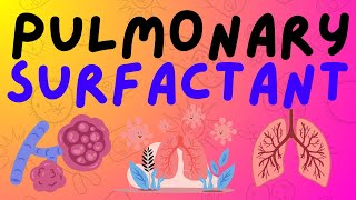 The Respiratory System Pulmonary Surfactant [upl. by Assej]