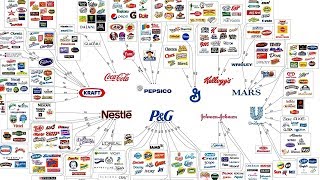 These 10 Companies Produce Almost Everything You Use Every Day [upl. by Aicemed896]