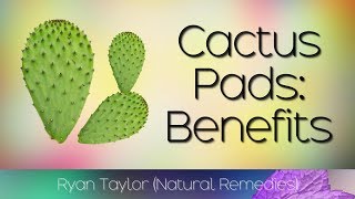 Cactus Leaf Benefits amp Uses Nopales [upl. by Breskin]