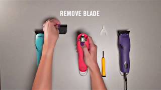 How to change the drive tip on detachable blade clippers [upl. by Aime]