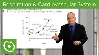 Anesthesiology Respiration amp Cardiovascular System – Anesthesiology  Lecturio [upl. by Isla]