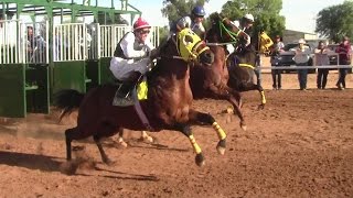 Carreras de Caballos en El Hipódromo de Rayón 14 de Abril 2017 [upl. by Hgielrak]