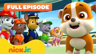 Rubble Joins the PAW Patrol and the Pups Save a Walrus  FULL EPISODES  Nick Jr [upl. by Alleynad]