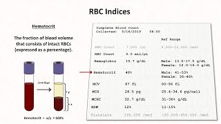 Infectious Mononucleosis Mono  EpsteinBarr Virus Transmission Symptoms Diagnosis Treatment [upl. by Eltsirk]