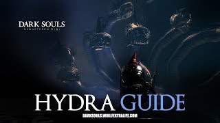 Hydra Mini Boss Guide  Dark Souls Remastered [upl. by Ydoow]