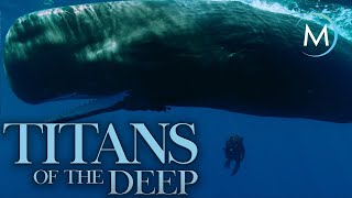 Titans of the Deep  TRAILER 4K  MagellanTV [upl. by Courtund396]