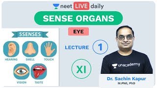 Sense Organs  Lecture 1  Eye  Class 11  Unacademy NEET  LIVE DAILY  Biology  Dr Sachin Sir [upl. by Ernestus170]