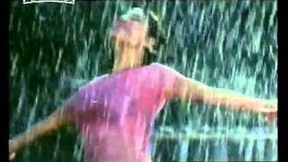 SAIMA HINDI HOT RAIN SONGflv [upl. by Aholah]