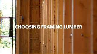 Choosing Framing Lumber [upl. by Ovida]