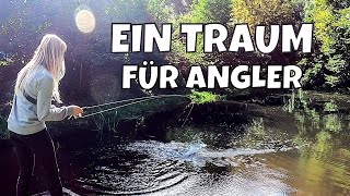 Privater Forellenteich  50 Lachsforellen mit Spin Mad und Wurm  Angelteiche erklärt  Vlog 92 [upl. by Hoes195]