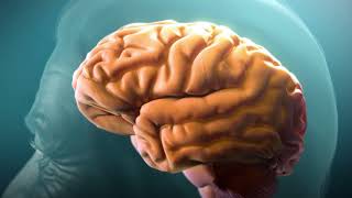 Comprendre la maladie d’Alzheimer Understanding Alzheimer’s Disease [upl. by Bore]