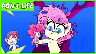 Pony Life  NEW  The Missing Animals in the Forest  MLP Pony Life [upl. by Sidras]