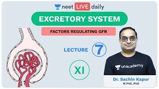 Excretory System  Lecture 7  Unacademy NEET  LIVE DAILY  NEET Biology  Dr Sachin Kapur [upl. by Oinotnanauj502]