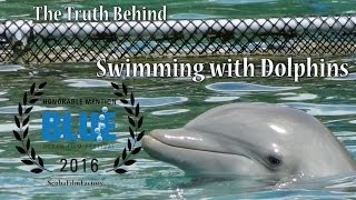 The Truth Behind Swimming with Dolphins [upl. by Eelrebmik]