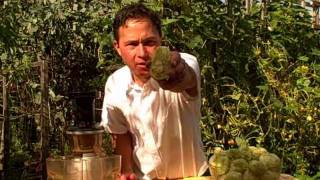 How to Make Fresh Nopal Cactus Juice with the Omega VRT 350HD Juicer [upl. by Ahsiener224]