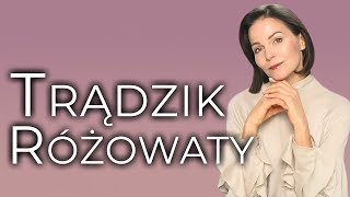 TRĄDZIK RÓŻOWATY [upl. by Gaiser]