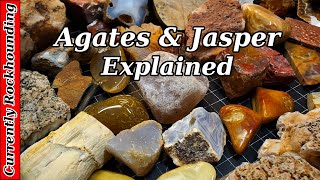 Agates amp Jasper  What Do You Really Know About Them [upl. by Eiramyma]