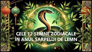 Previziuni 2025 privind cele 12 semne din zodiacul chinezesc [upl. by Garv]