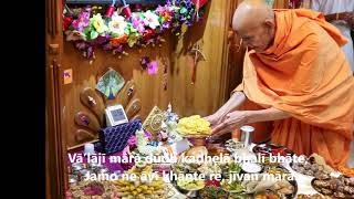 Jamone Jamadu Re  BAPS Swaminarayan [upl. by Budwig471]