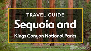 Sequoia and Kings Canyon National Parks Vacation Travel Guide I Expedia [upl. by Ennovy120]