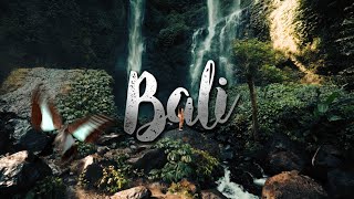 This is Bali Indonesia  Isolated memories  Cinematic travel video [upl. by Selinski]