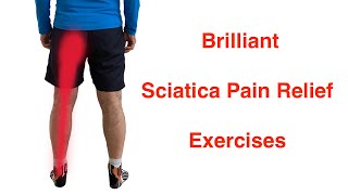 Absolutely Brilliant Sciatica Pain Relief Exercises [upl. by Acsirp]