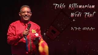 Tekle Kiflemariam Wedi Tukul  Anti Welelo  ኣንቲ ወለሎ  ተኽለ ወዲትኹል New Eritrean Music 2019 [upl. by Rockel]