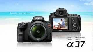 Sony Alpha A37 SLT Camera [upl. by Katusha]