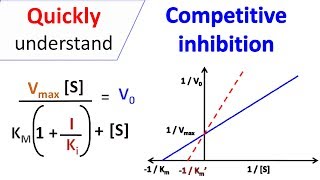 Competitive inhibition [upl. by Halden]