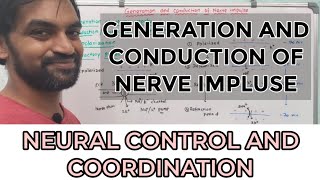 Generation and conduction of nerve impulse [upl. by Meean]