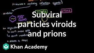 Subviral particles viroids and prions  Cells  MCAT  Khan Academy [upl. by Nele666]