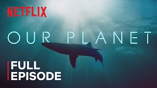 Our Planet  Coastal Seas  FULL EPISODE  Netflix [upl. by Sklar]