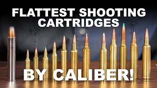 Flattest Shooting Cartridges by Caliber [upl. by Annawd476]